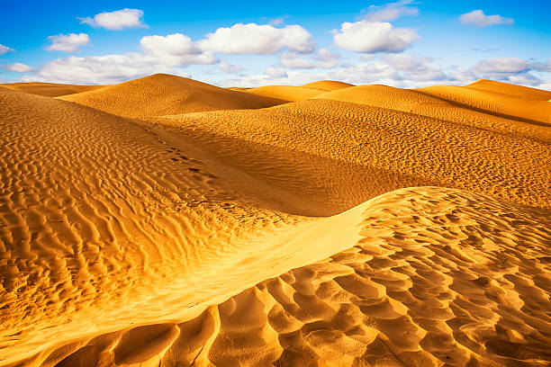 Sahara Desert